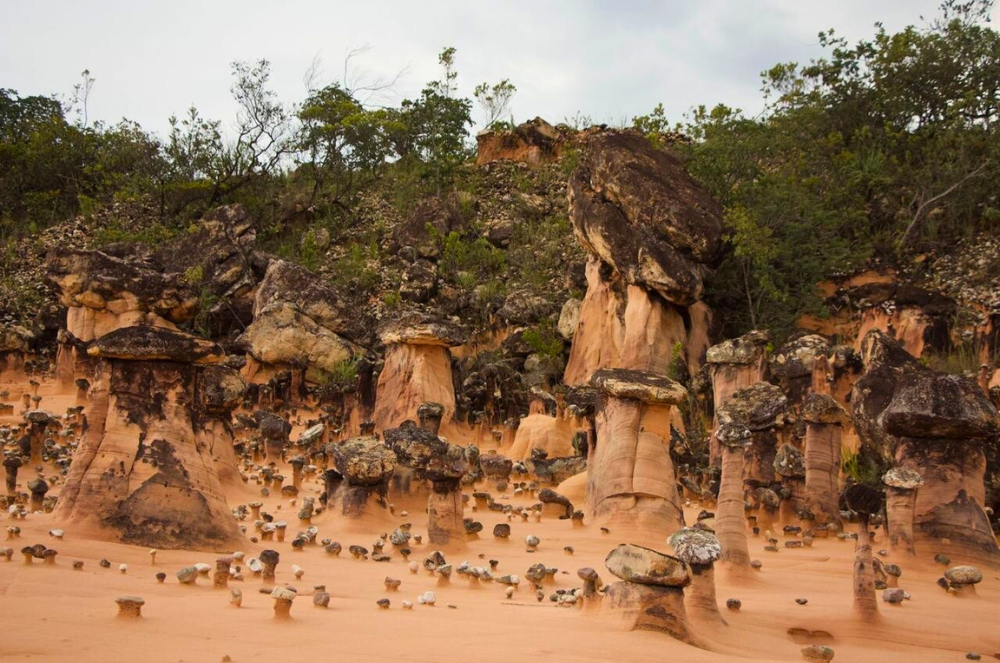 Rochas de resistências distintas se desgastam em velocidades diferentes, adquirindo o formato de "torres".